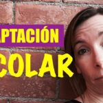 adaptacion escolar