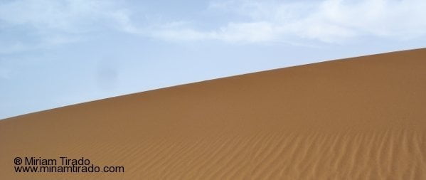 Vida y muerte