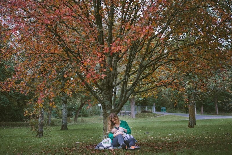 La pausa perfecta