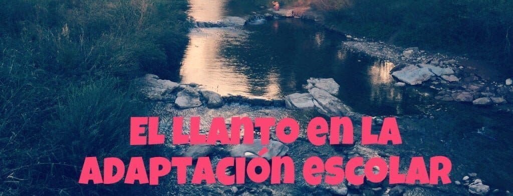 El llanto de un niño en adaptación escolar