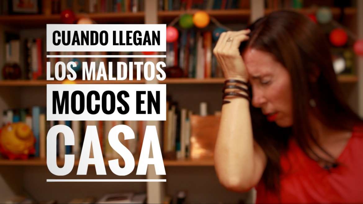 Quan arriben els maleïts mocs a casa