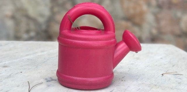 Adaptación escolar: qué no es y qué sí