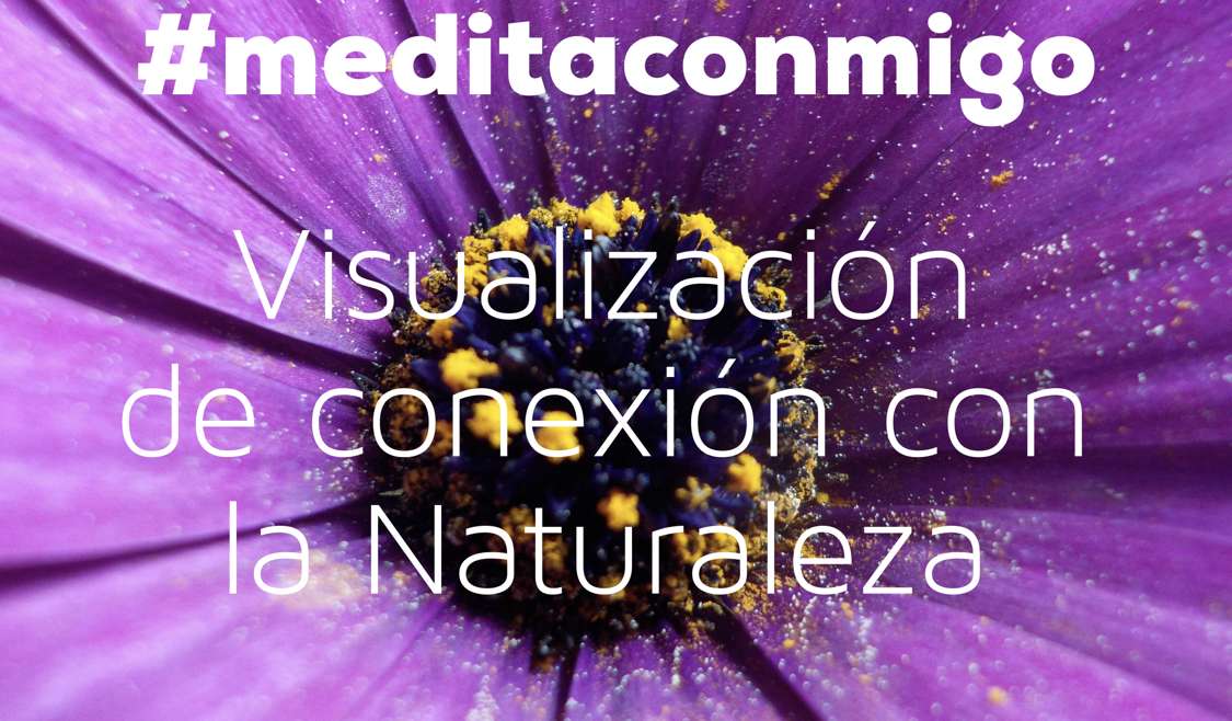 Meditación guiada: visualización de conexión con la Naturaleza